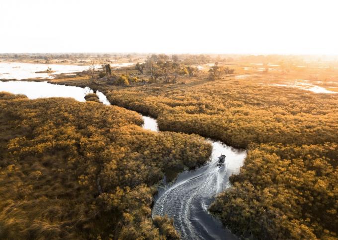 Moremi Game Reserve